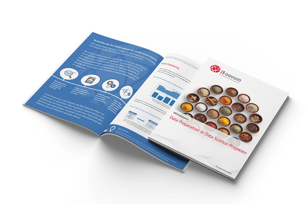 whitepaper data preparation in data science projekten mockup 1