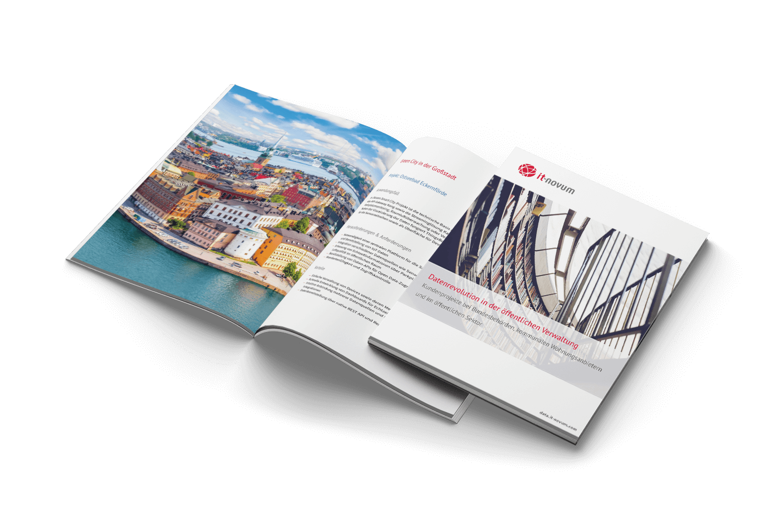 datenrevolution in der oeffentlichen verwaltung mockup